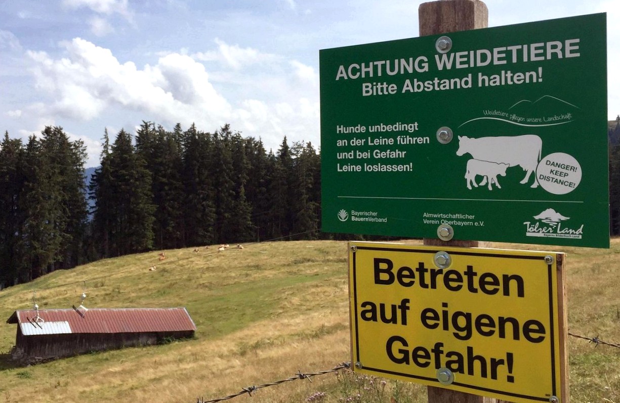 Bad tolz: 'don't take selfies with grazing animals' - death case unsettles alpine farmers